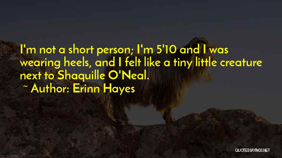 Short Tiny Quotes By Erinn Hayes