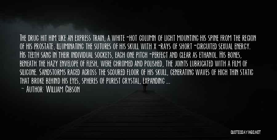 Short Train Quotes By William Gibson