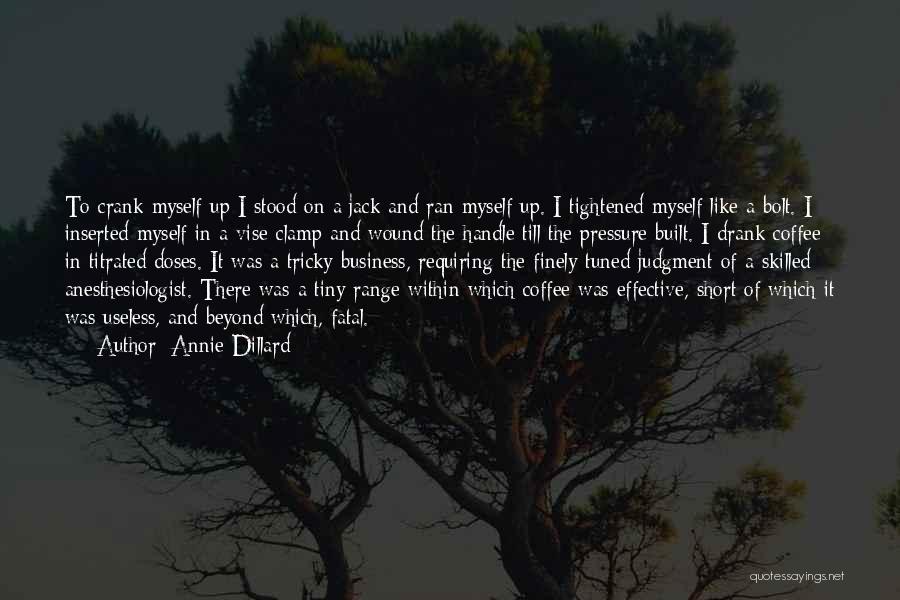 Short Tricky Quotes By Annie Dillard