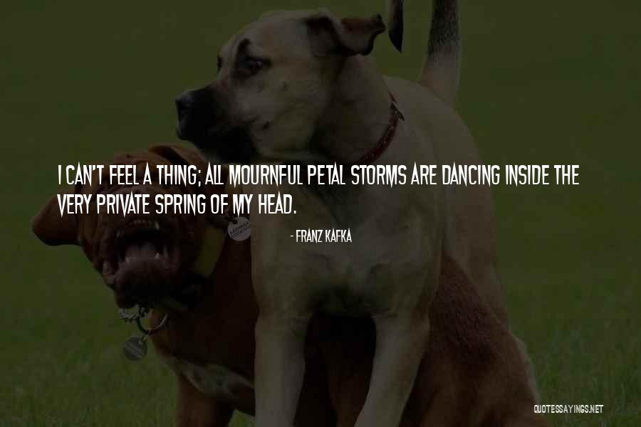 Short Turtles Quotes By Franz Kafka Short Turtles Quotes By Franz Kafka