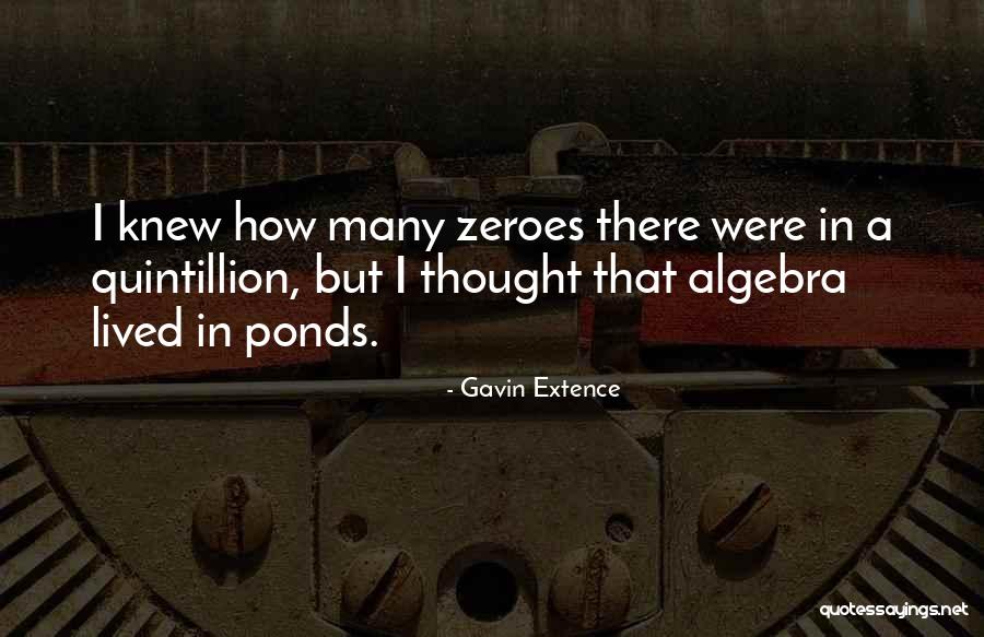 Short Turtles Quotes By Gavin Extence Short Turtles Quotes By Gavin Extence