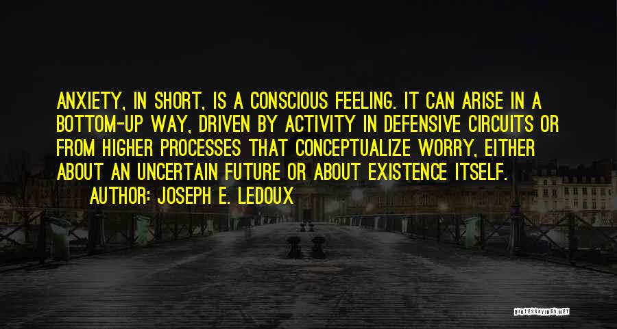Short Uncertain Quotes By Joseph E. Ledoux