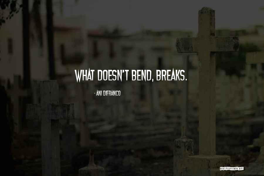 Short Vanity Quotes By Ani DiFranco Short Vanity Quotes By Ani DiFranco