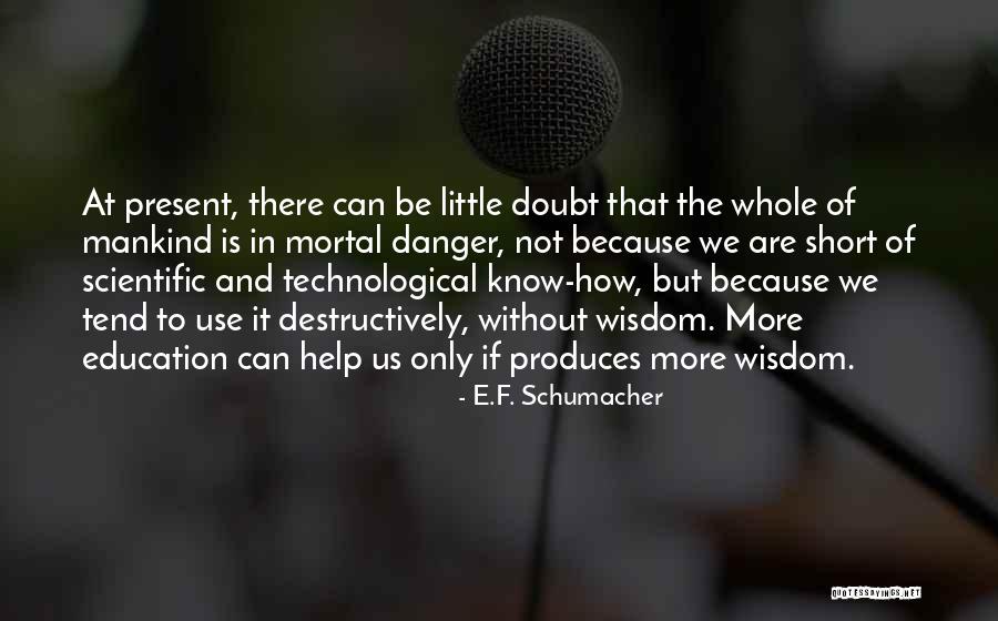 Short Wisdom Quotes By E.F. Schumacher