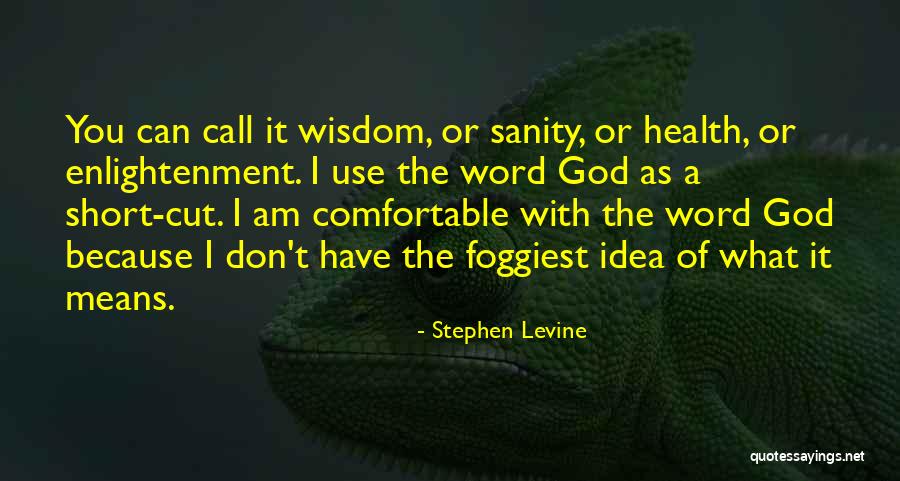 Short Wisdom Quotes By Stephen Levine