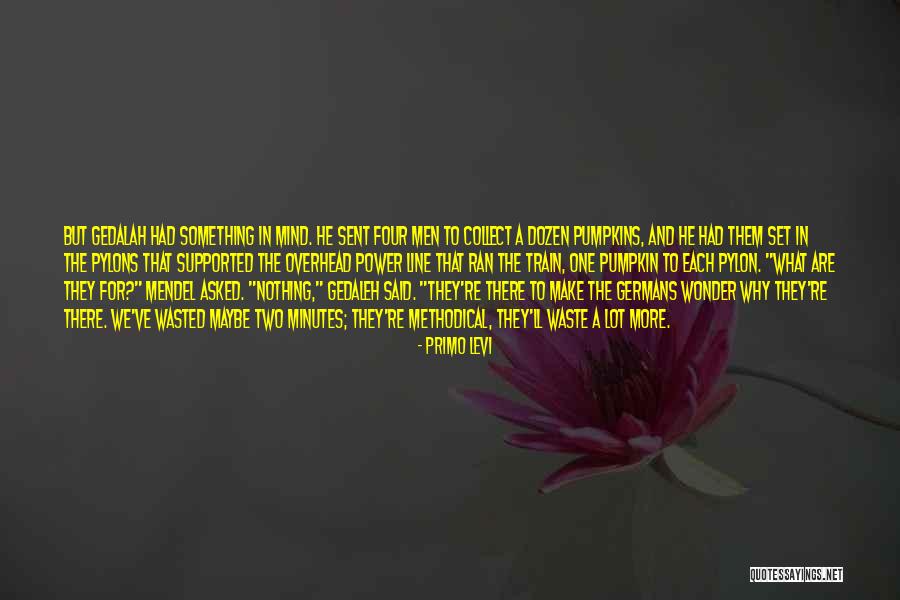 Short Wise Sayings And Quotes By Primo Levi Short Wise Sayings And Quotes By Primo Levi