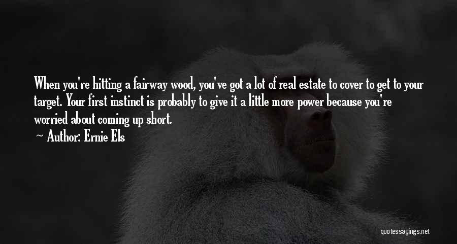 Short Wood Quotes By Ernie Els