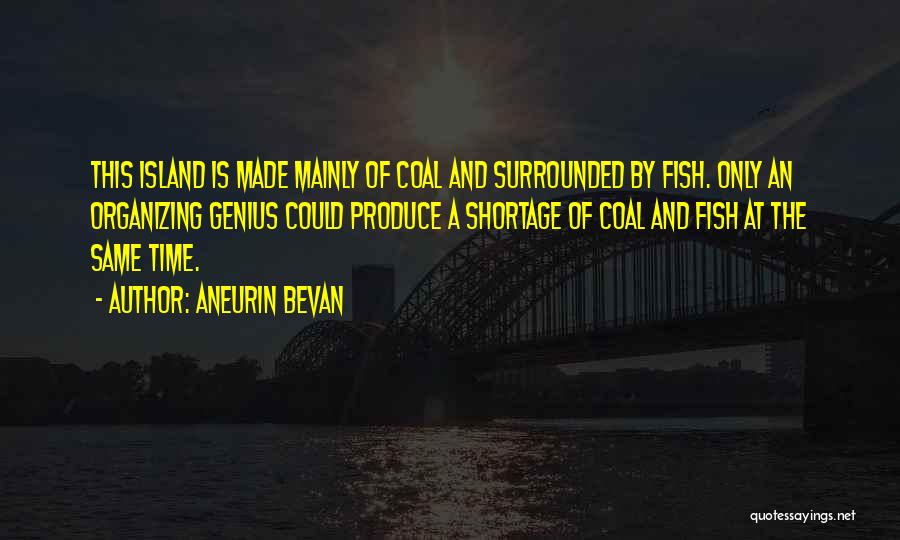 Shortage Of Time Quotes By Aneurin Bevan