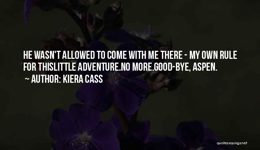 Shortboard Skate Quotes By Kiera Cass