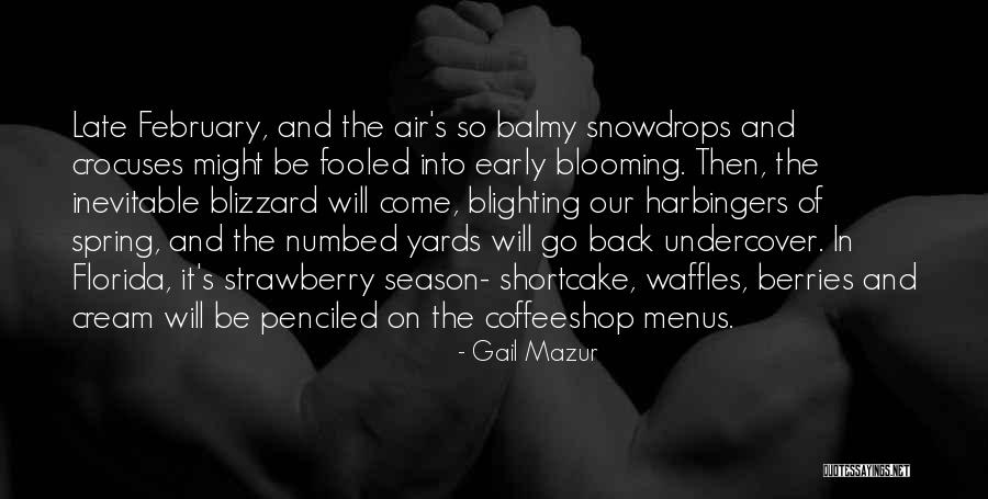 Shortcake Quotes By Gail Mazur Shortcake Quotes By Gail Mazur
