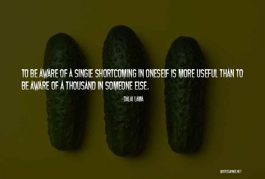 Shortcoming Quotes By Dalai Lama Shortcoming Quotes By Dalai Lama