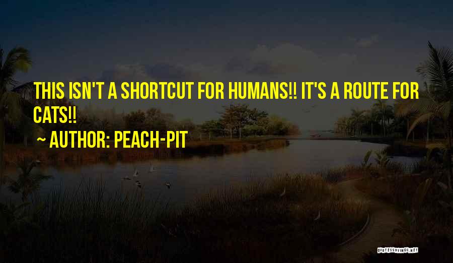 Shortcut Quotes By Peach-Pit