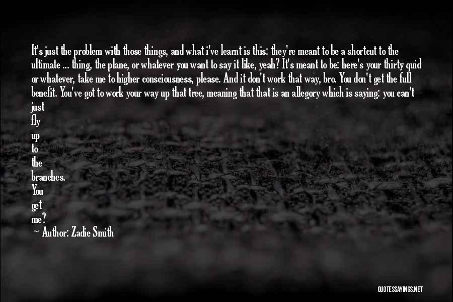 Shortcut Quotes By Zadie Smith