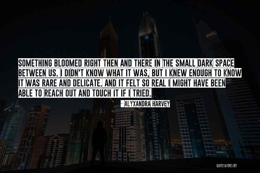 Shorted Quotes By Alyxandra Harvey Shorted Quotes By Alyxandra Harvey