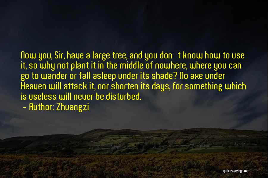 Shorten Quotes By Zhuangzi