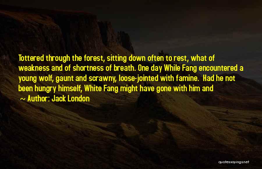 Shortness Of Breath Quotes By Jack London