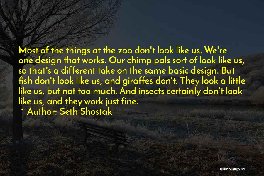 Shostak Quotes By Seth Shostak