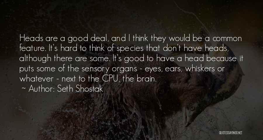 Shostak Quotes By Seth Shostak