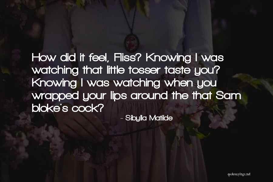 Shosuke Tanihara Quotes By Sibylla Matilde Shosuke Tanihara Quotes By Sibylla Matilde