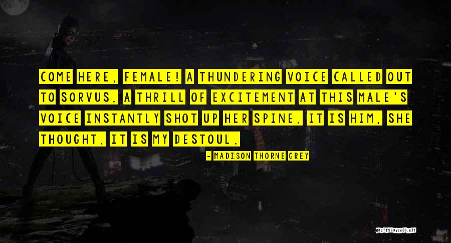 Shot Book Quotes By Madison Thorne Grey Shot Book Quotes By Madison Thorne Grey