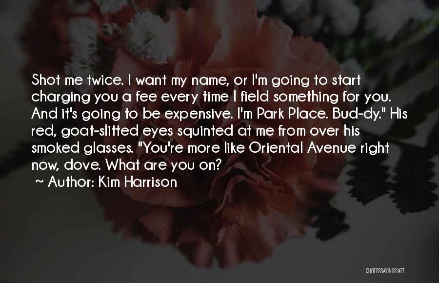 Shot Glasses Quotes By Kim Harrison