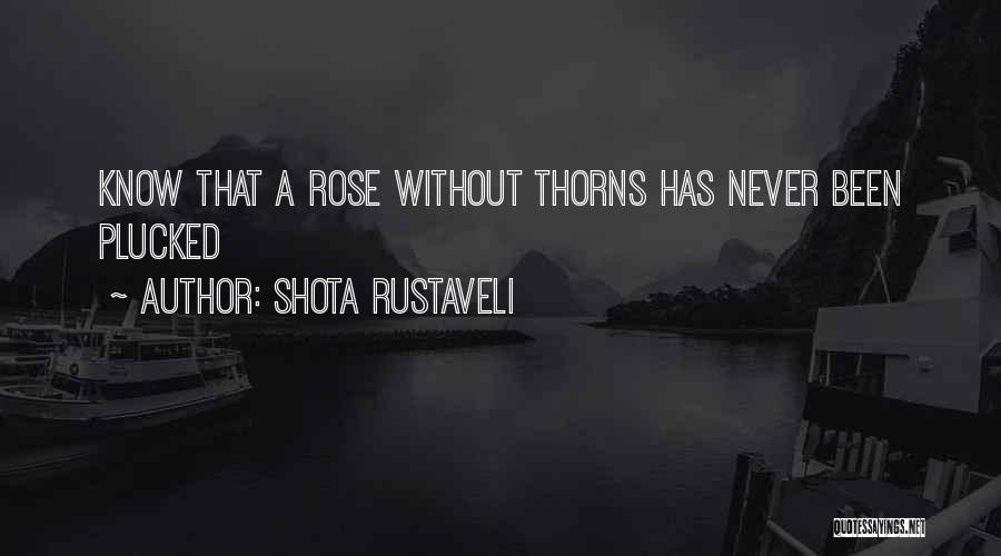 Shota Rustaveli Quotes 1064022