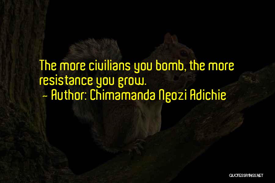 Shoto Tanemura Quotes By Chimamanda Ngozi Adichie