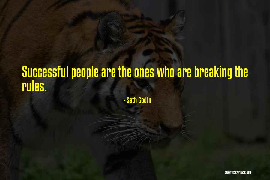 Shotzi Blackheart Quotes By Seth Godin