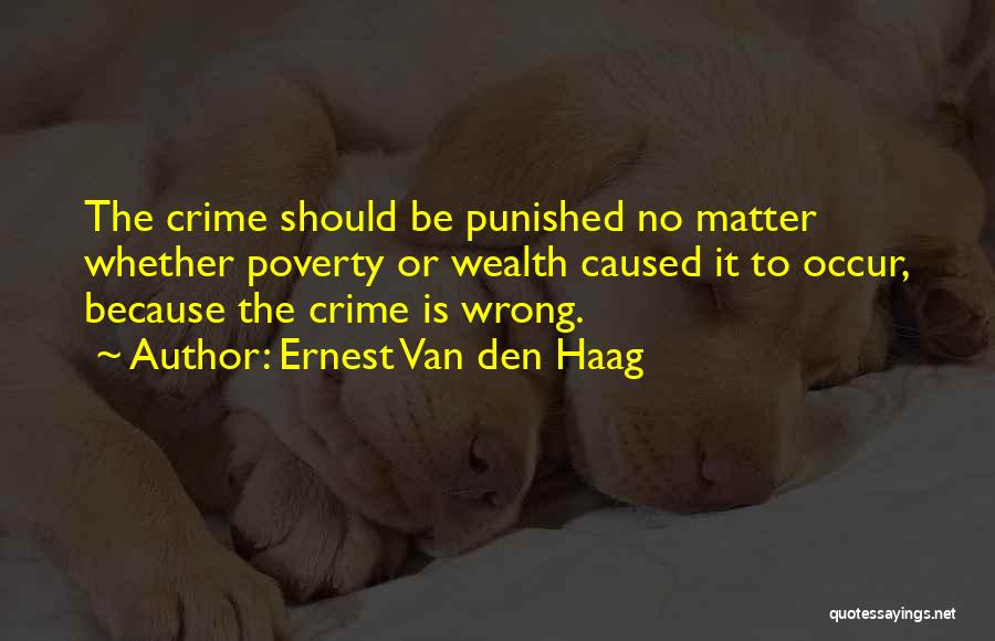 Should Be Punished Quotes By Ernest Van Den Haag