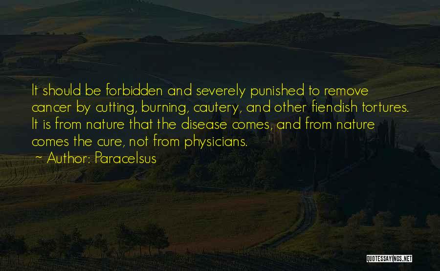 Should Be Punished Quotes By Paracelsus