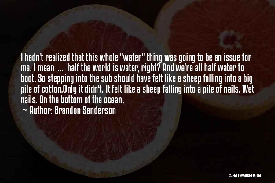 Should Have Realized Quotes By Brandon Sanderson