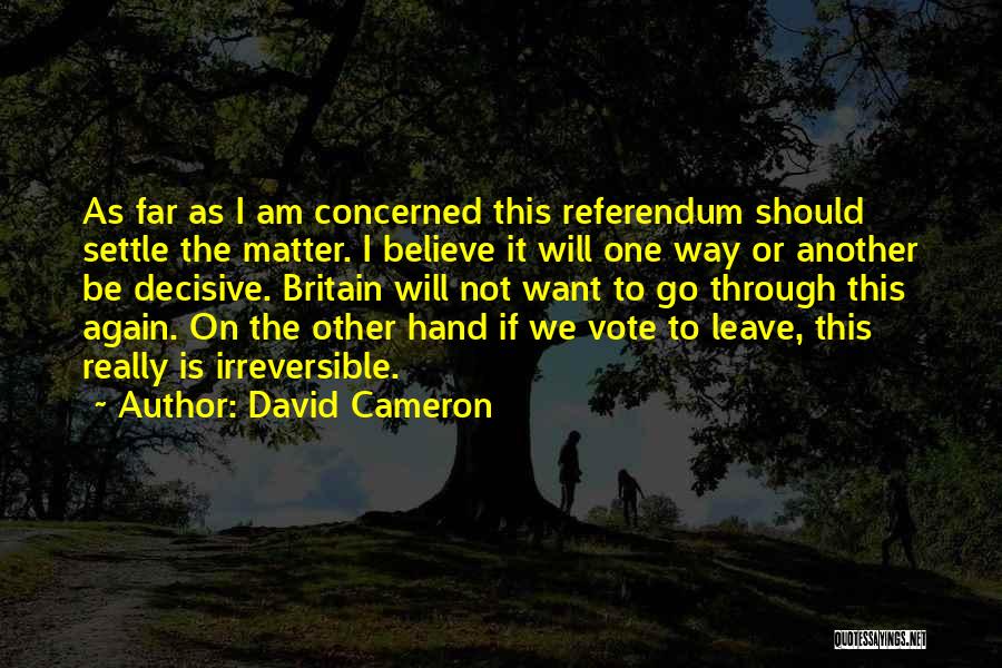 Should I Leave Or Should I Go Quotes By David Cameron