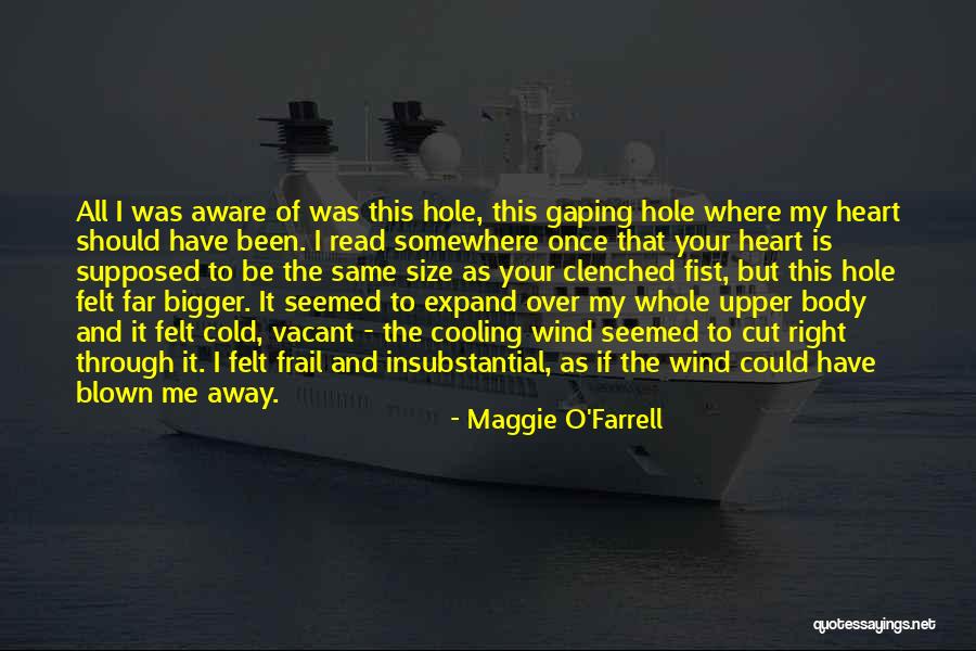 Should I Read Quotes By Maggie O'Farrell Should I Read Quotes By Maggie O'Farrell