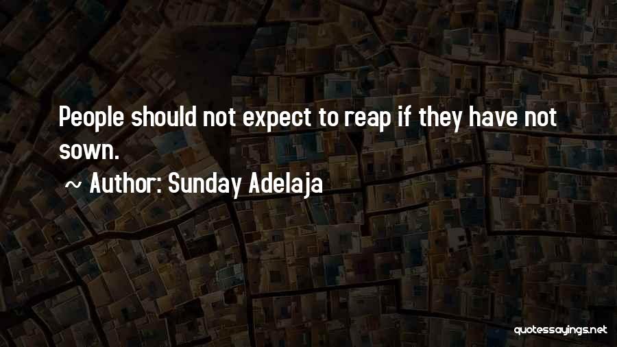 Should Not Expect Quotes By Sunday Adelaja
