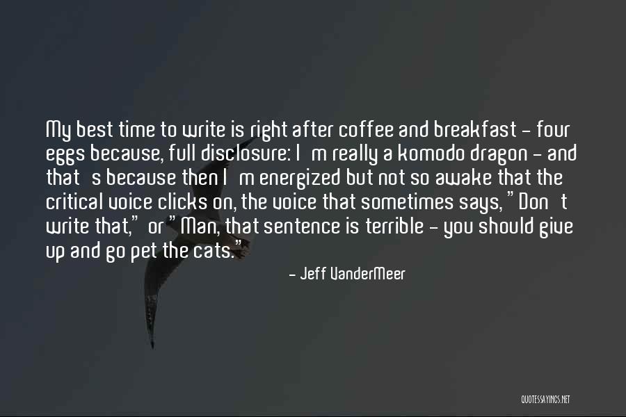 Should Not Give Up Quotes By Jeff VanderMeer Should Not Give Up Quotes By Jeff VanderMeer