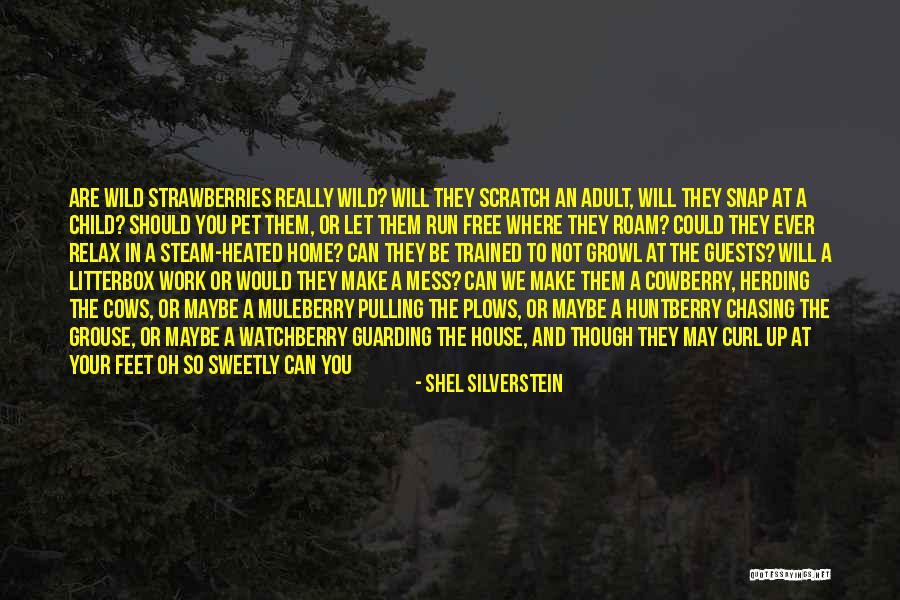 Should Not Trust Quotes By Shel Silverstein Should Not Trust Quotes By Shel Silverstein