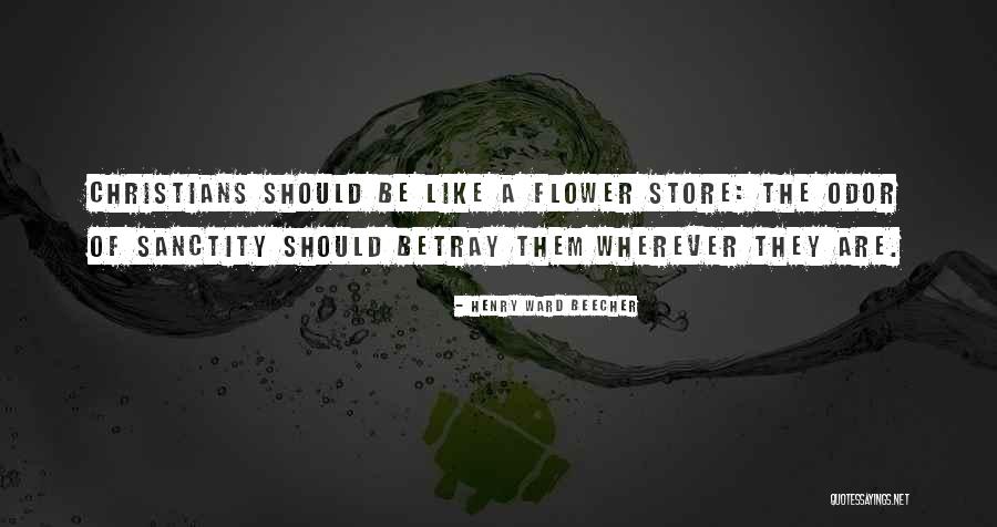 Should Store Quotes By Henry Ward Beecher Should Store Quotes By Henry Ward Beecher