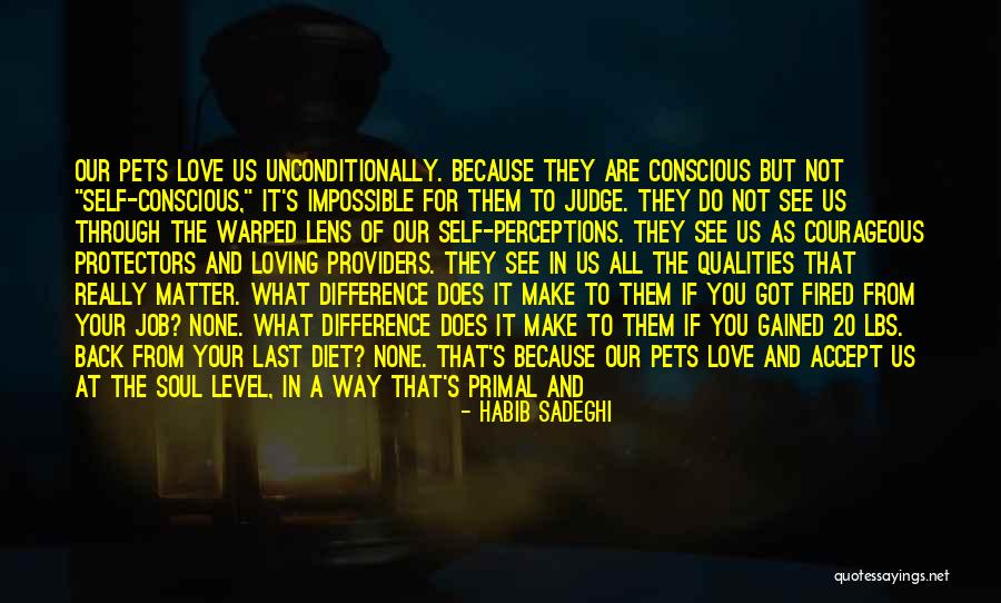 Shouldn't Judge Quotes By Habib Sadeghi Shouldn't Judge Quotes By Habib Sadeghi