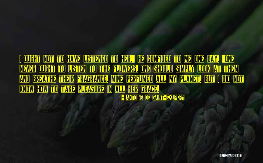 Should've Listened Quotes By Antoine De Saint-Exupery Should've Listened Quotes By Antoine De Saint-Exupery