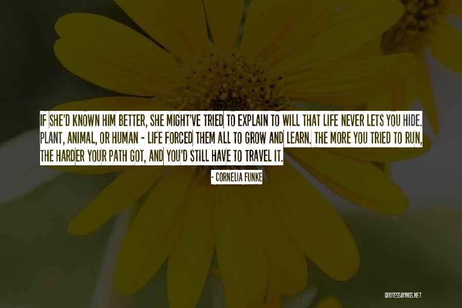 Should've Tried Harder Quotes By Cornelia Funke Should've Tried Harder Quotes By Cornelia Funke