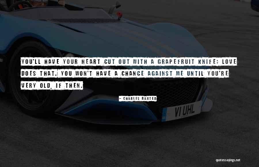 Shourds Equipment Quotes By Charles Baxter