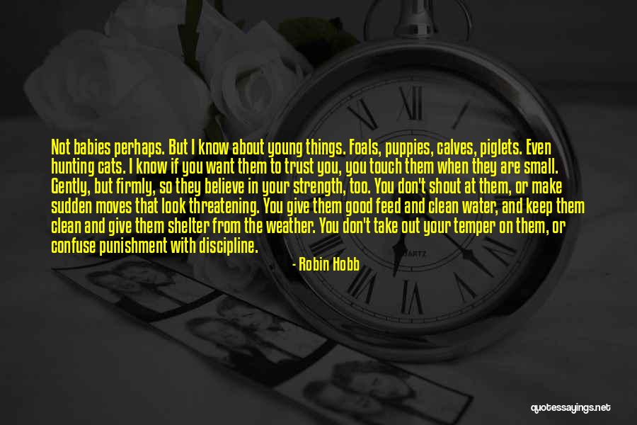 Shout And About Quotes By Robin Hobb Shout And About Quotes By Robin Hobb