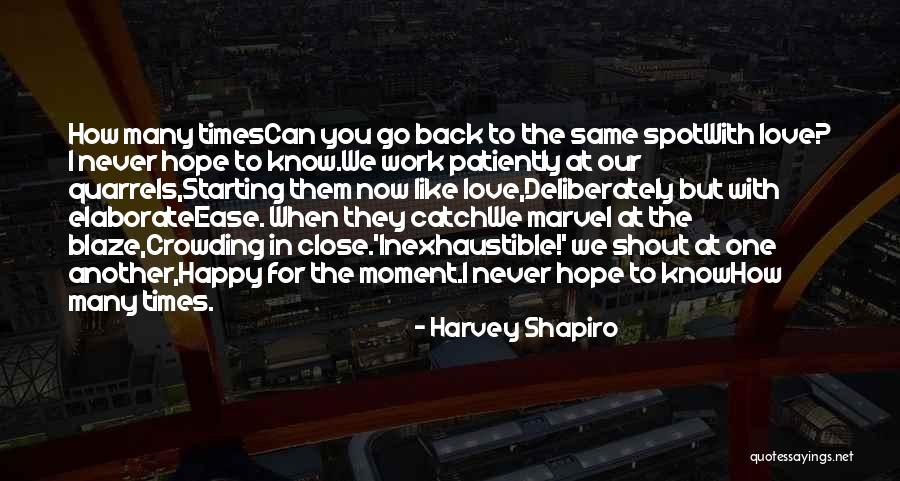 Shout Out Love Quotes By Harvey Shapiro