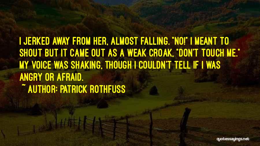 Shout Out To Me Quotes By Patrick Rothfuss