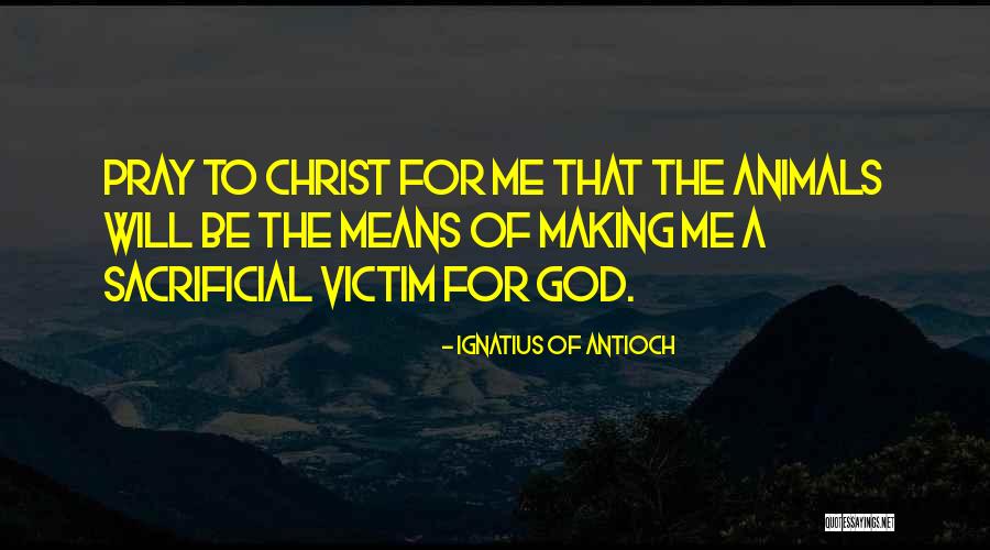 Shoutarou Fuwa Quotes By Ignatius Of Antioch Shoutarou Fuwa Quotes By Ignatius Of Antioch