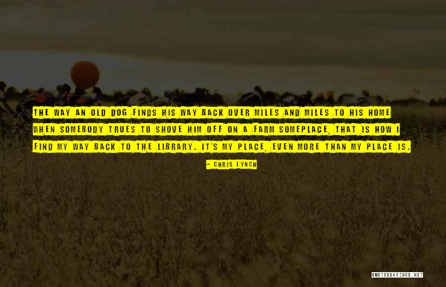 Shove It Quotes By Chris Lynch Shove It Quotes By Chris Lynch