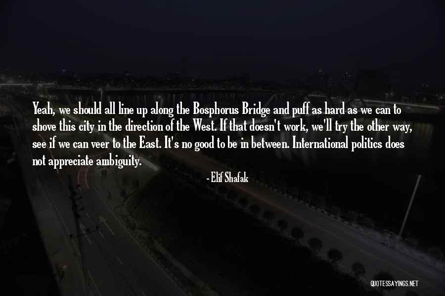 Shove It Quotes By Elif Shafak Shove It Quotes By Elif Shafak