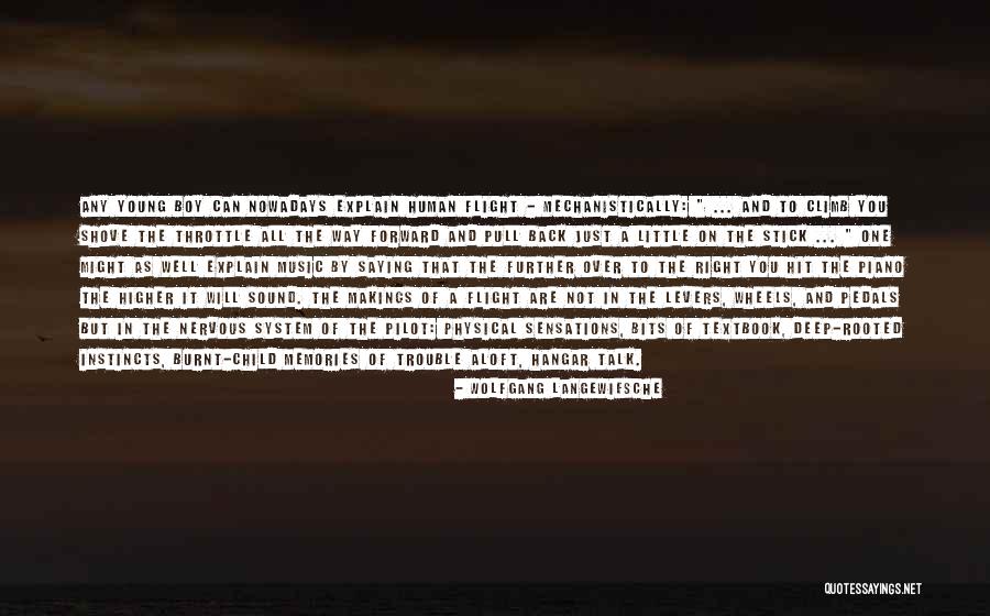 Shove It Quotes By Wolfgang Langewiesche Shove It Quotes By Wolfgang Langewiesche