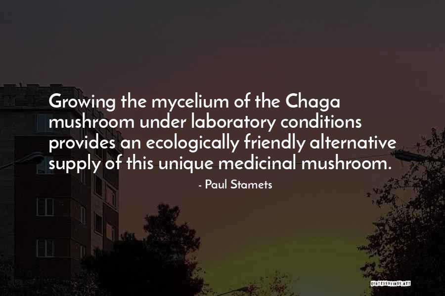 Shovlin Companies Quotes By Paul Stamets Shovlin Companies Quotes By Paul Stamets