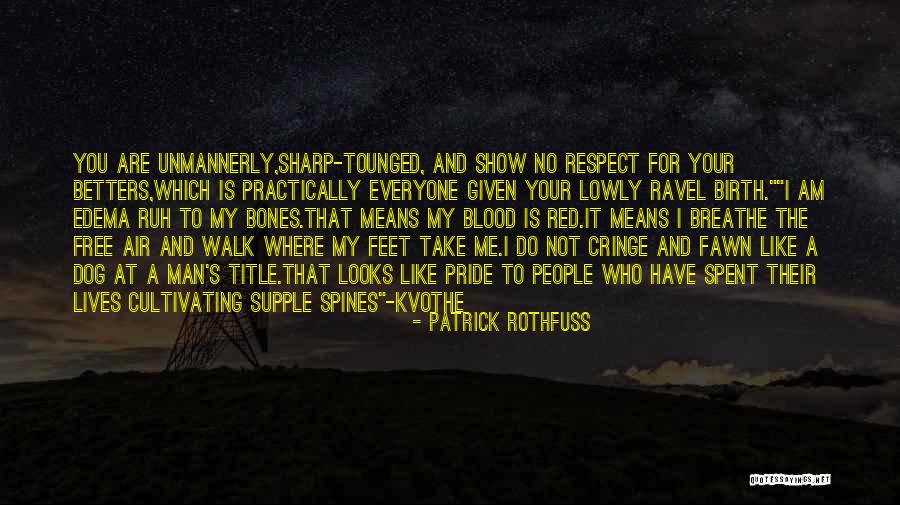 Show Me Respect Quotes By Patrick Rothfuss